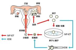 代妈应聘公司(代妈机构热点，让您放心选择)让你家庭生活更加美满