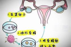 代妈应聘公司(代妈应聘公司哪家好，补偿高的机构都在这里！)助你实现家庭梦想